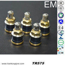 Tubeless Type Truck and Bus Tire Valve (TR575, TR500, TR501, TR570)